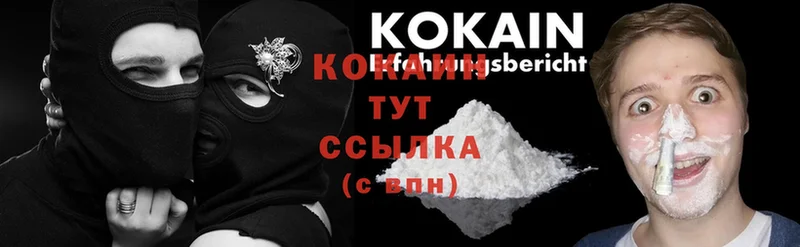 купить наркотик  Камышин  Cocaine Боливия 