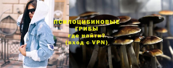 стаф Пролетарск