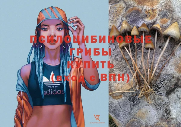 стаф Покров