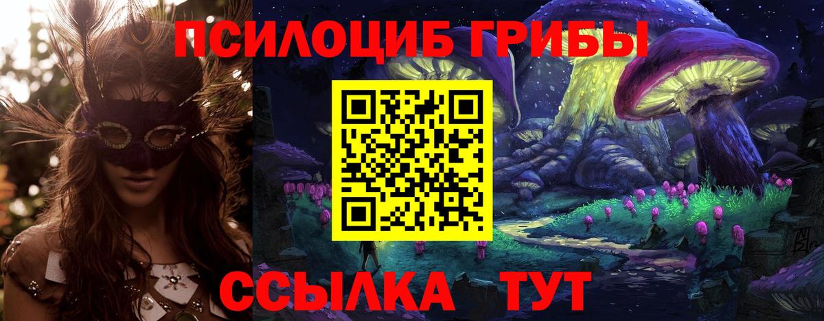 Псилоцибиновые грибы мицелий Камышин