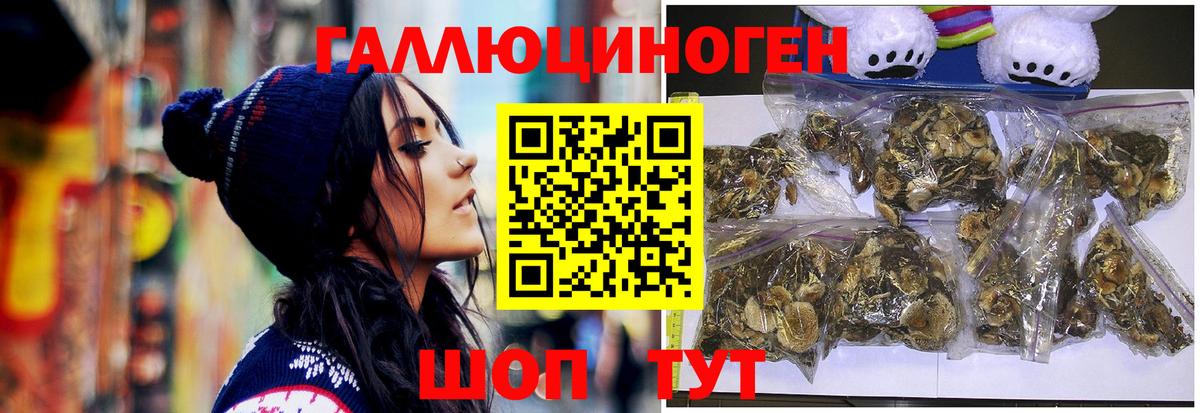 Псилоцибиновые грибы Psilocybine cubensis  Камышин 