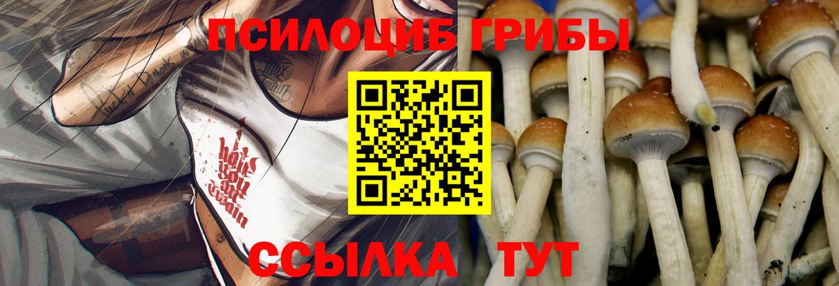 цена наркотик  Галлюциногенные грибы Cubensis  Галлюциногенные грибы GOLDEN TEACHER  Вход с VPN  Камышин 